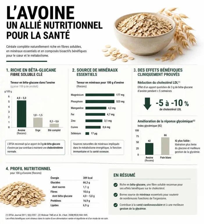 Infographie sur les bienfaits de l'avoine pour la santé et la nutrition