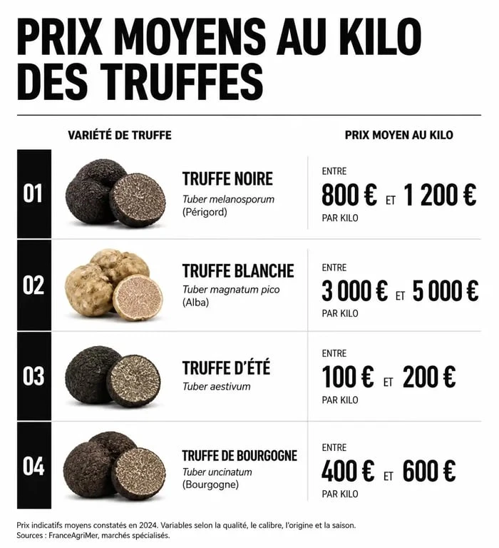 Infographie des prix de la truffe au kilo par variété : truffe noire, blanche, d'été et de Bourgogne.